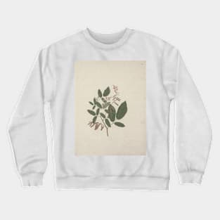 Desmodium by Luigi Balugani Crewneck Sweatshirt